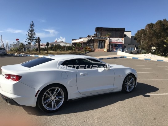 شيفروليه كامارو مستعملة 1161341