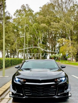 شيفروليه كامارو مستعملة 1541951