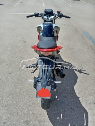 CIMATTI Bulk gt 2021 occasion  1851328