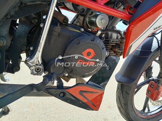 CIMATTI Bulk gt 2021 occasion  1851338