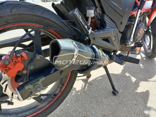 CIMATTI Bulk gt 2021 occasion  1851334