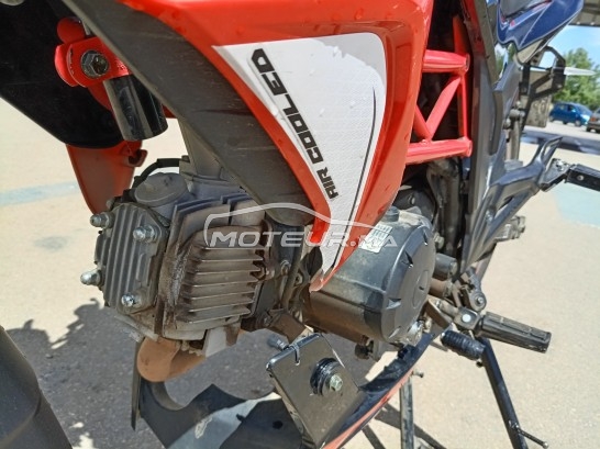 CIMATTI Bulk gt 2021 occasion  1851335