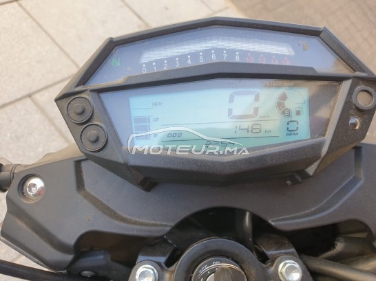 CIMATTI Bulk gt Gt 50 occasion  1600473