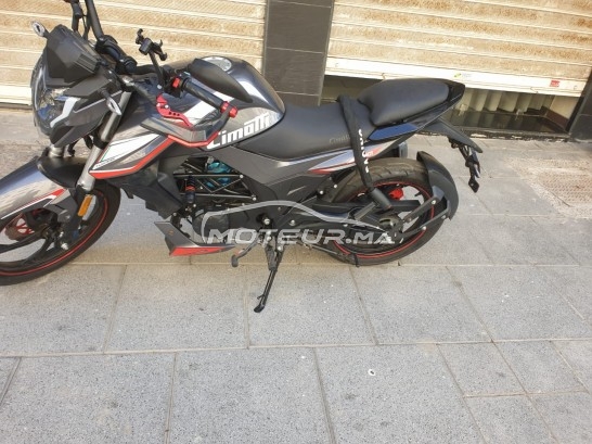 CIMATTI Bulk gt Gt 50 occasion  1600472