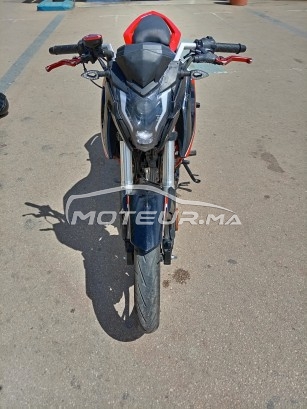 CIMATTI Bulk gt 2021 occasion  1851340