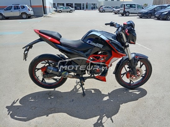 CIMATTI Bulk gt 2021 occasion  1851339