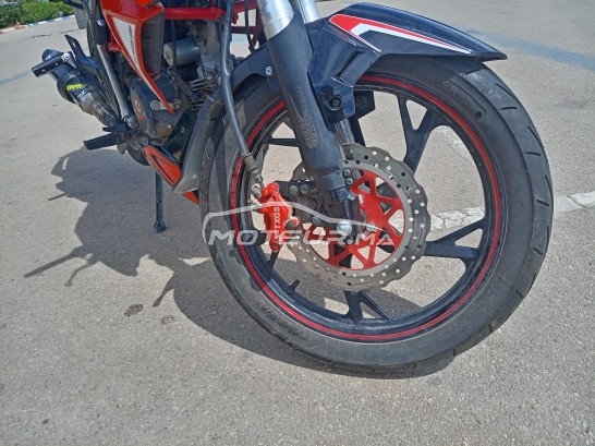 CIMATTI Bulk gt 2021 occasion  1851332