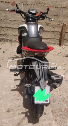 CIMATTI Bulk gt occasion  1667763