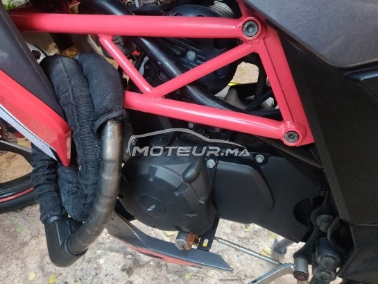 CIMATTI Bulk gt occasion  1667767