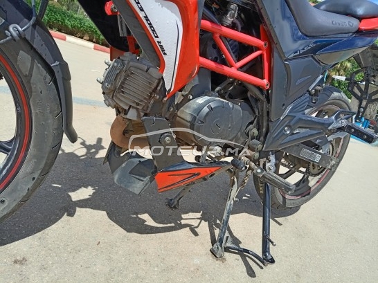 CIMATTI Bulk gt 2021 occasion  1851337