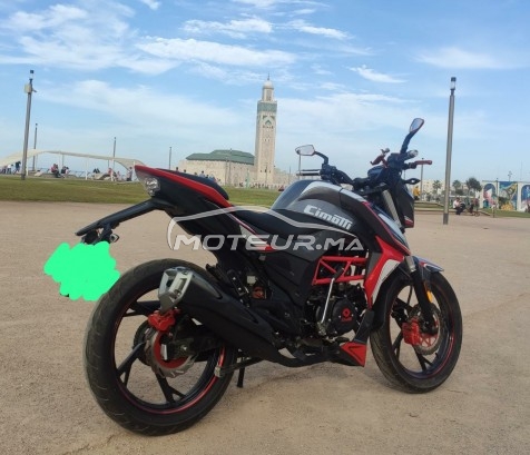 CIMATTI Bulk gt occasion  1667769