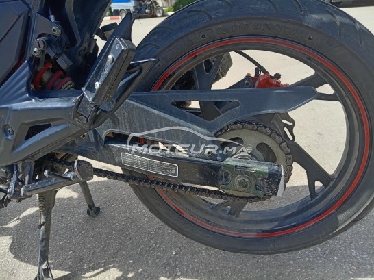 CIMATTI Bulk gt 2021 occasion  1851333