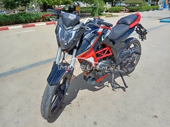 CIMATTI Bulk gt 2021 occasion  1851336