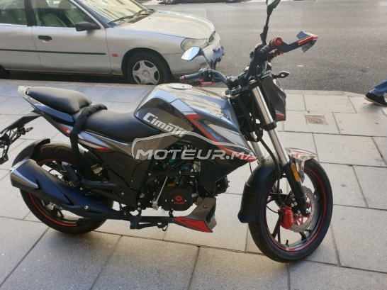 CIMATTI Bulk gt Gt 50 occasion  1600474