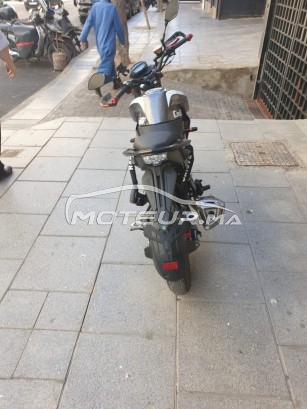 CIMATTI Bulk gt Gt 50 occasion  1600471