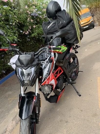 CIMATTI Bulk gt occasion  1441720