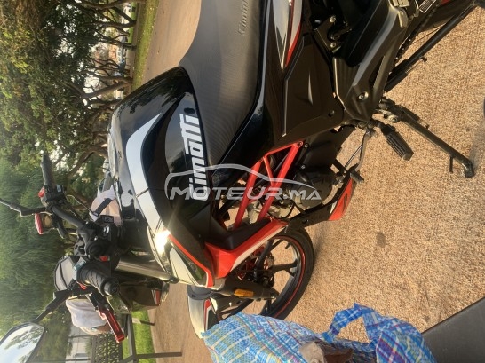 CIMATTI Bulk gt occasion  1441450