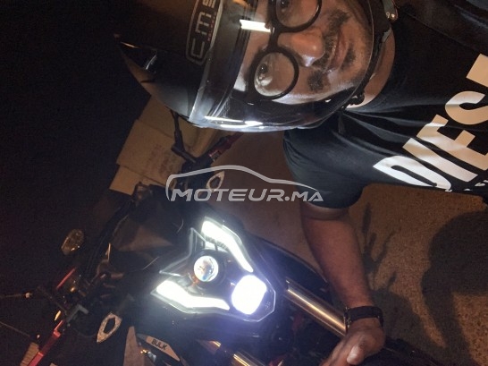 CIMATTI Bulk gt occasion  1441452