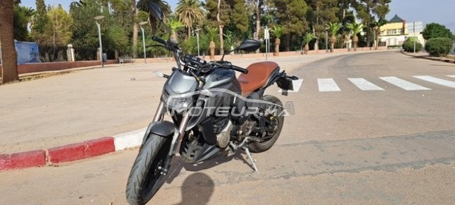 CIMATTI Gt.300i occasion  2007575