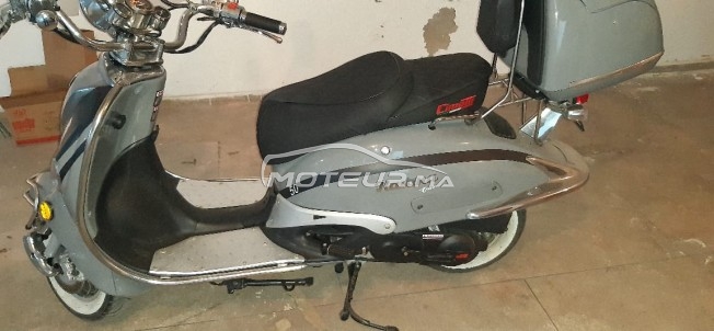 CIMATTI Havana deluxe occasion  1281023