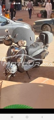 CIMATTI Havana deluxe occasion  1923378