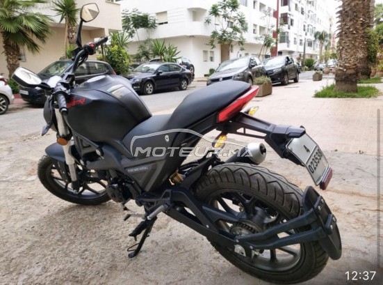 CIMATTI Monstre occasion  1704738