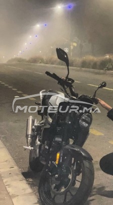 سيماتتي مونستري 2023 مستعملة 1997923