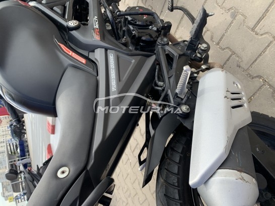 CIMATTI Monstre Cimatti monster 2022 occasion  1866455