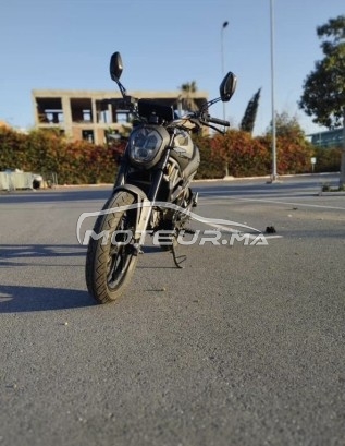 سيماتتي مونستري 2024 evo3 مستعملة 2434548