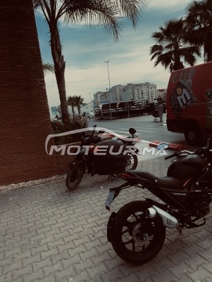 CIMATTI Monstre Cimatti monster 2022 occasion  1866452