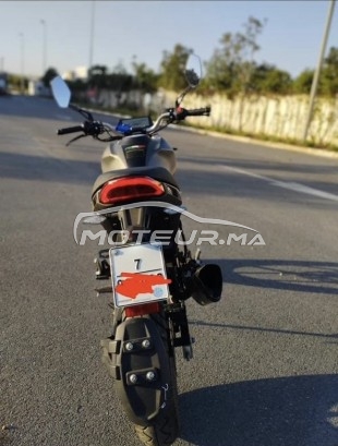 سيماتتي مونستري 2024 evo3 مستعملة 2434551