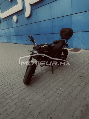 CIMATTI Monstre Cimatti monster 2022 occasion  1866451