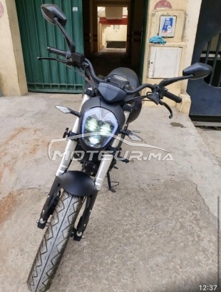 CIMATTI Monstre occasion  1704736