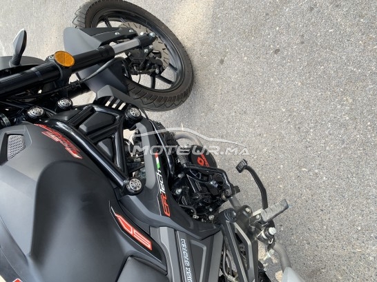 CIMATTI Monstre Cimatti monster 2022 occasion  1866457