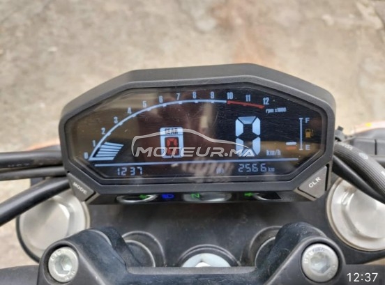 CIMATTI Monstre occasion  1704737