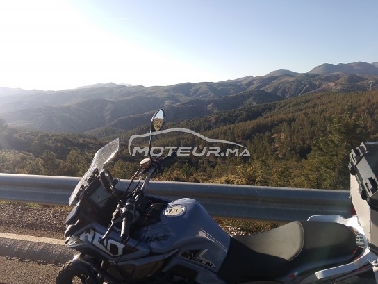 سيماتتي مونستري Alien 400 مستعملة 2400565