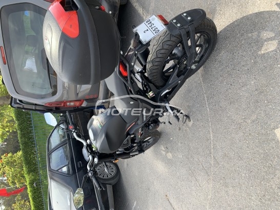 CIMATTI Monstre Cimatti monster 2022 occasion  1866456