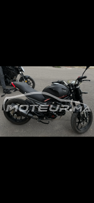 سيماتتي مونستري 2024 مستعملة 2938424