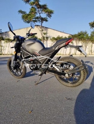 سيماتتي مونستري 2024 evo3 مستعملة 2434552