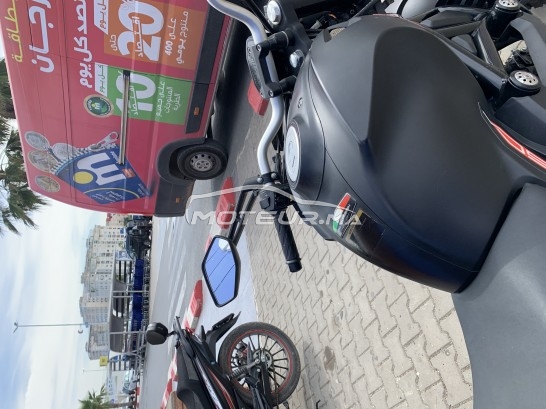 CIMATTI Monstre Cimatti monster 2022 occasion  1866454