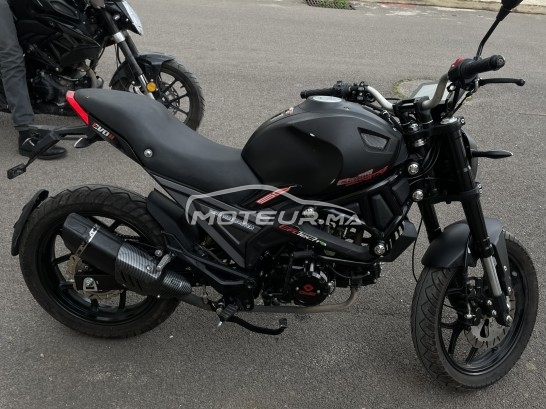 Moto au Maroc CIMATTI Monstre 2024 - 481648