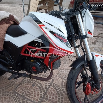 CIMATTI Naked 50 50 occasion  1755124