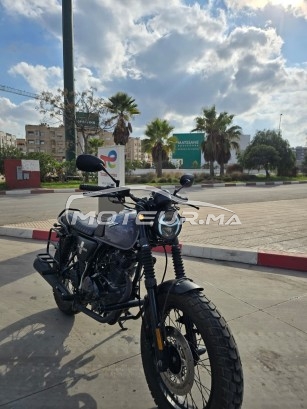 CIMATTI Naked 50 Bobber occasion  2904644