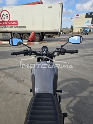 CIMATTI Naked 50 Bobber occasion  2904646