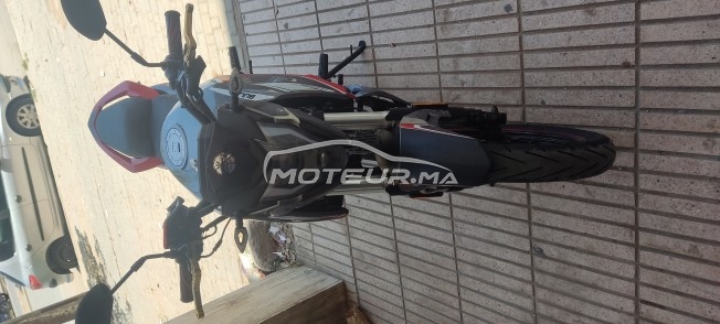 CIMATTI Naked 50 Gt50 naked occasion  1644386