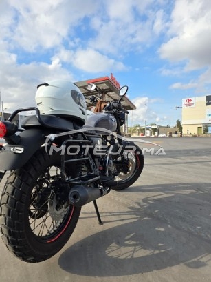 CIMATTI Naked 50 Bobber occasion  2904647