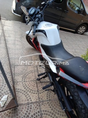 CIMATTI Naked 50 50 occasion  1755121