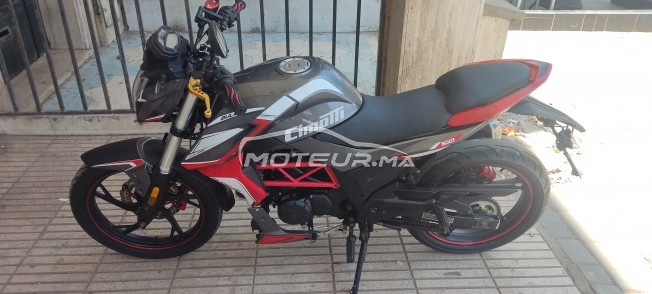 CIMATTI Naked 50 Gt50 naked occasion  1644387