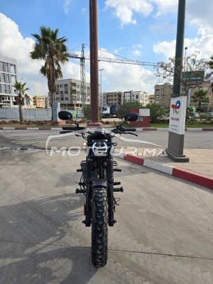 CIMATTI Naked 50 Bobber occasion  2904648