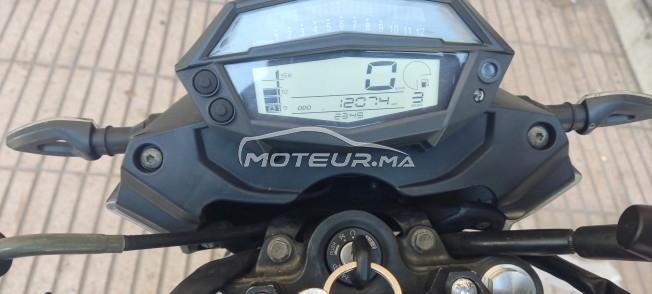 CIMATTI Naked 50 Gt50 naked occasion  1644382